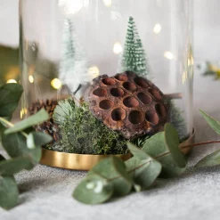 Depot Geschenkideen^Deko-Rentiermoos