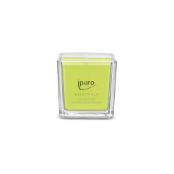 Depot Essentials Duftkerze Lime Light> Kerzen