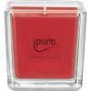 Depot Essentials Duftkerze Winter Apple> Kerzen