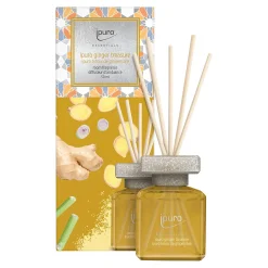 Depot Geschenkideen^Essentials Raumduft Ginger Treasure