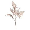 Depot Adventskranz-Deko^Farnzweig 88Cm, Grun
