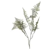 Depot Adventskranz-Deko^Farnzweig 88Cm, Grun