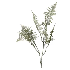 Depot Adventskranz-Deko^Farnzweig 88Cm, Grun