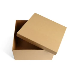 Depot Tuten & Boxen^Geschenkbox