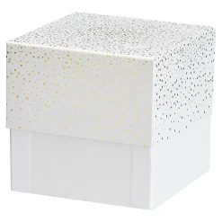 Depot Tuten & Boxen^Geschenkbox Stardust
