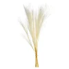 Depot Geschenkideen^Glitzer-Trockenblumen-Bundel Miscanthus