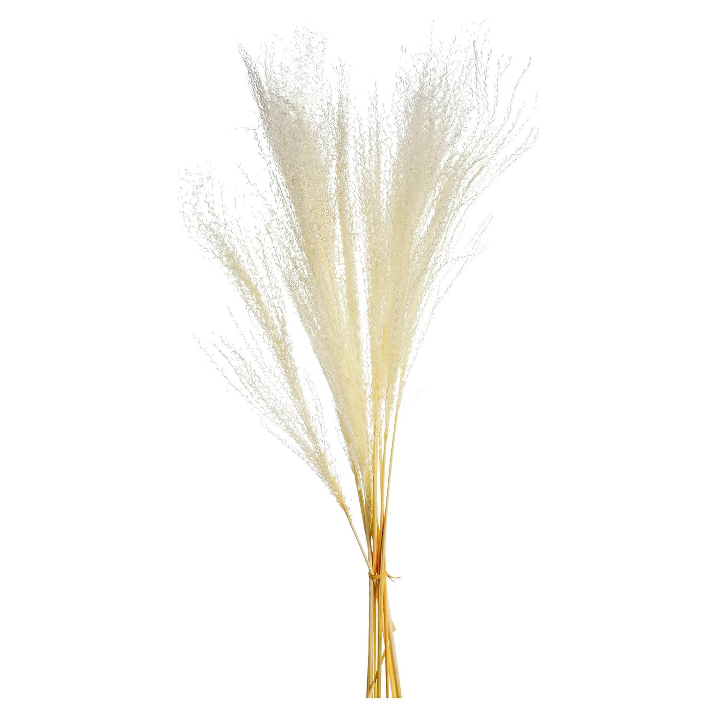 Depot Geschenkideen^Glitzer-Trockenblumen-Bundel Miscanthus