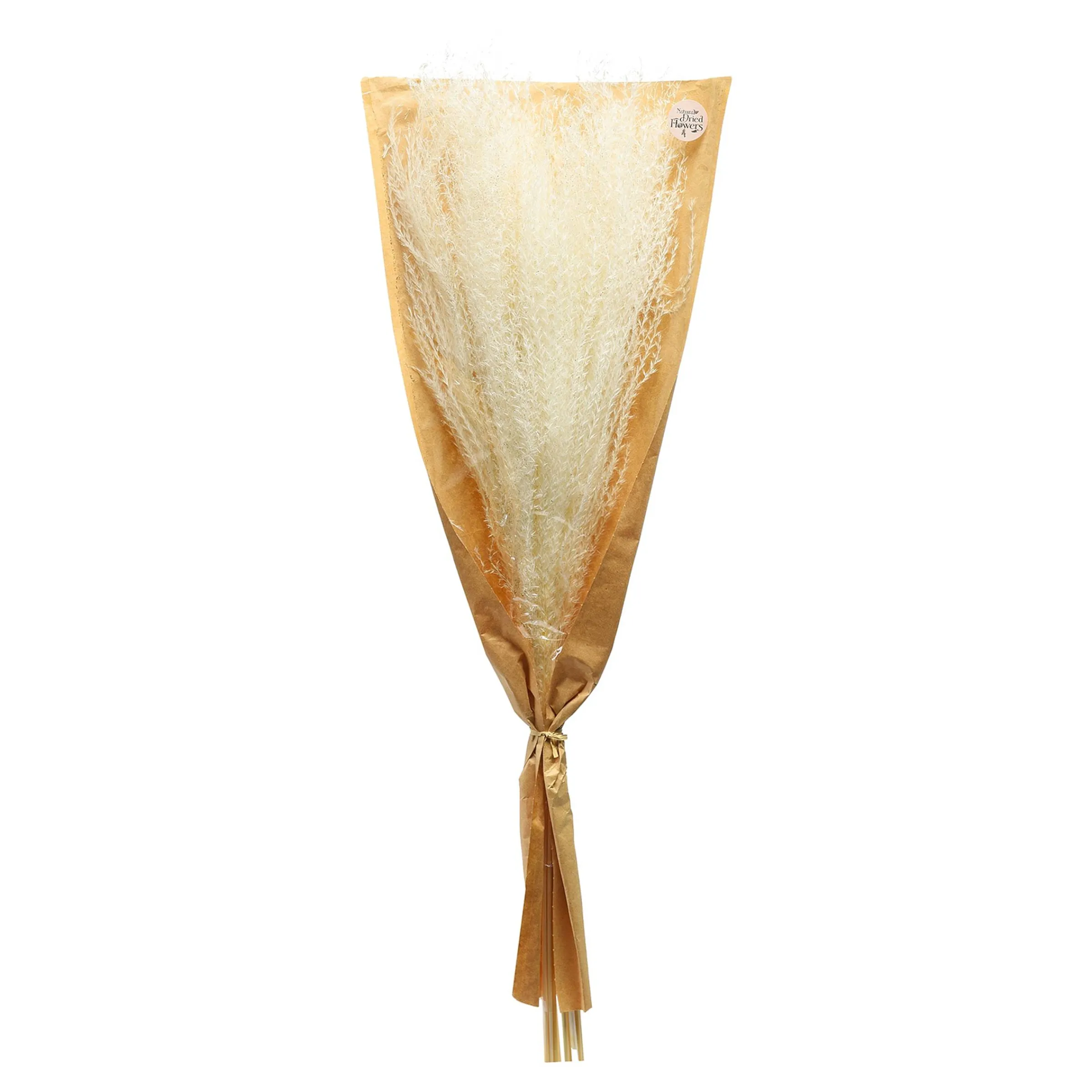 Depot Geschenkideen^Glitzer-Trockenblumen-Bundel Miscanthus