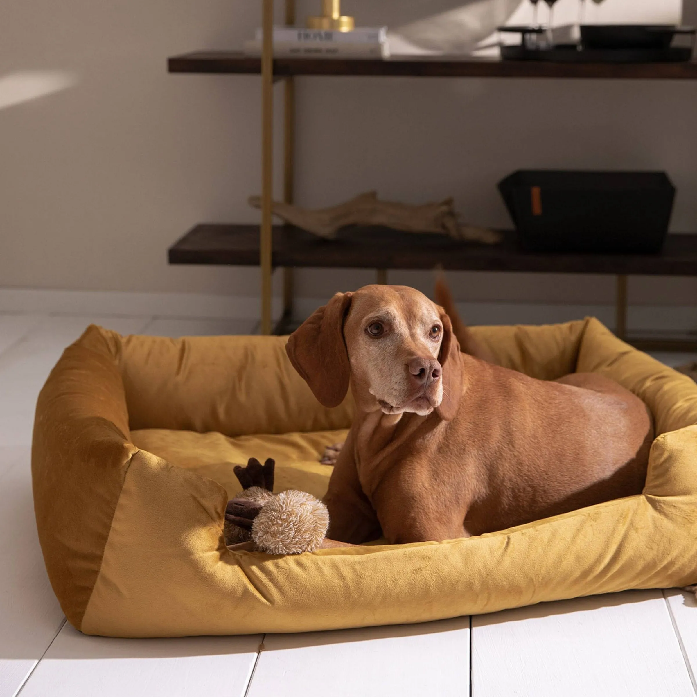 Depot Geschenkideen^Haustier-Samt-Kuschelsofa Velvet