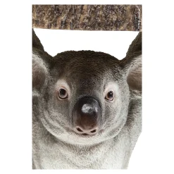 Depot Geschenkideen^Kare Beistelltisch Koala