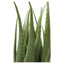 Depot Geschenkideen^Kare Kunstpflanze Aloe Im Topf
