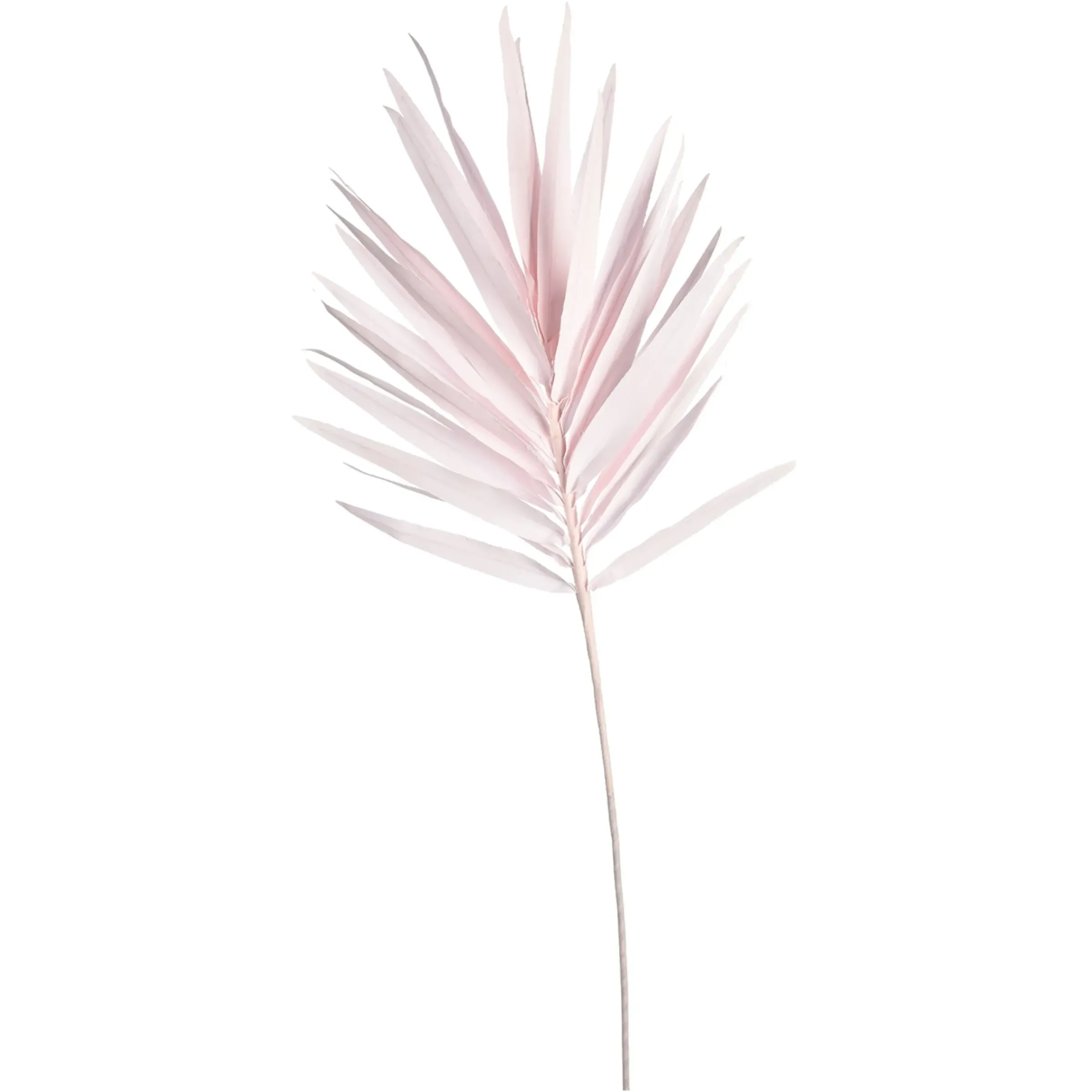 Depot Kunstblatt Palme> Einzelblumen & Zweige