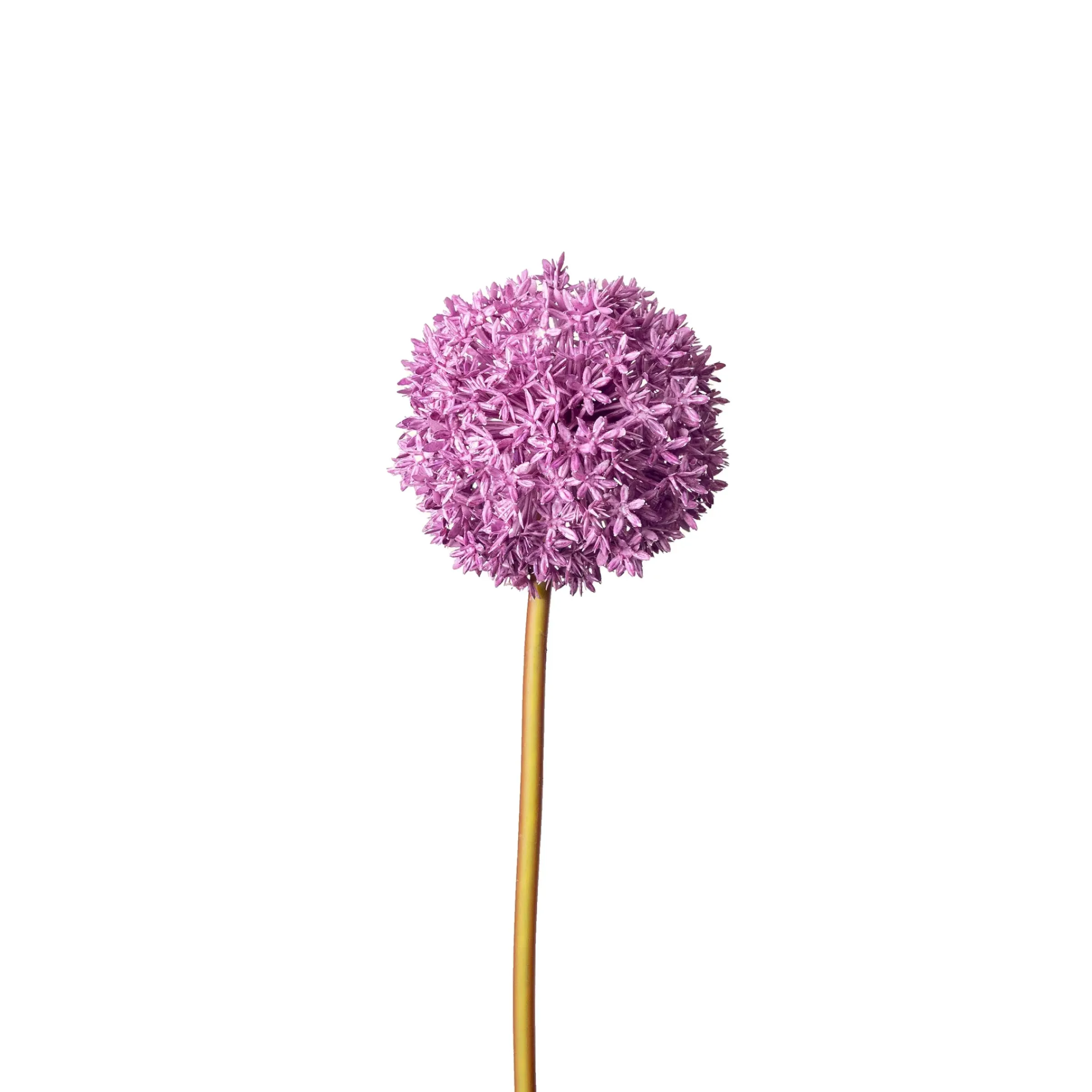 Depot Kunstblume Allium> Einzelblumen & Zweige