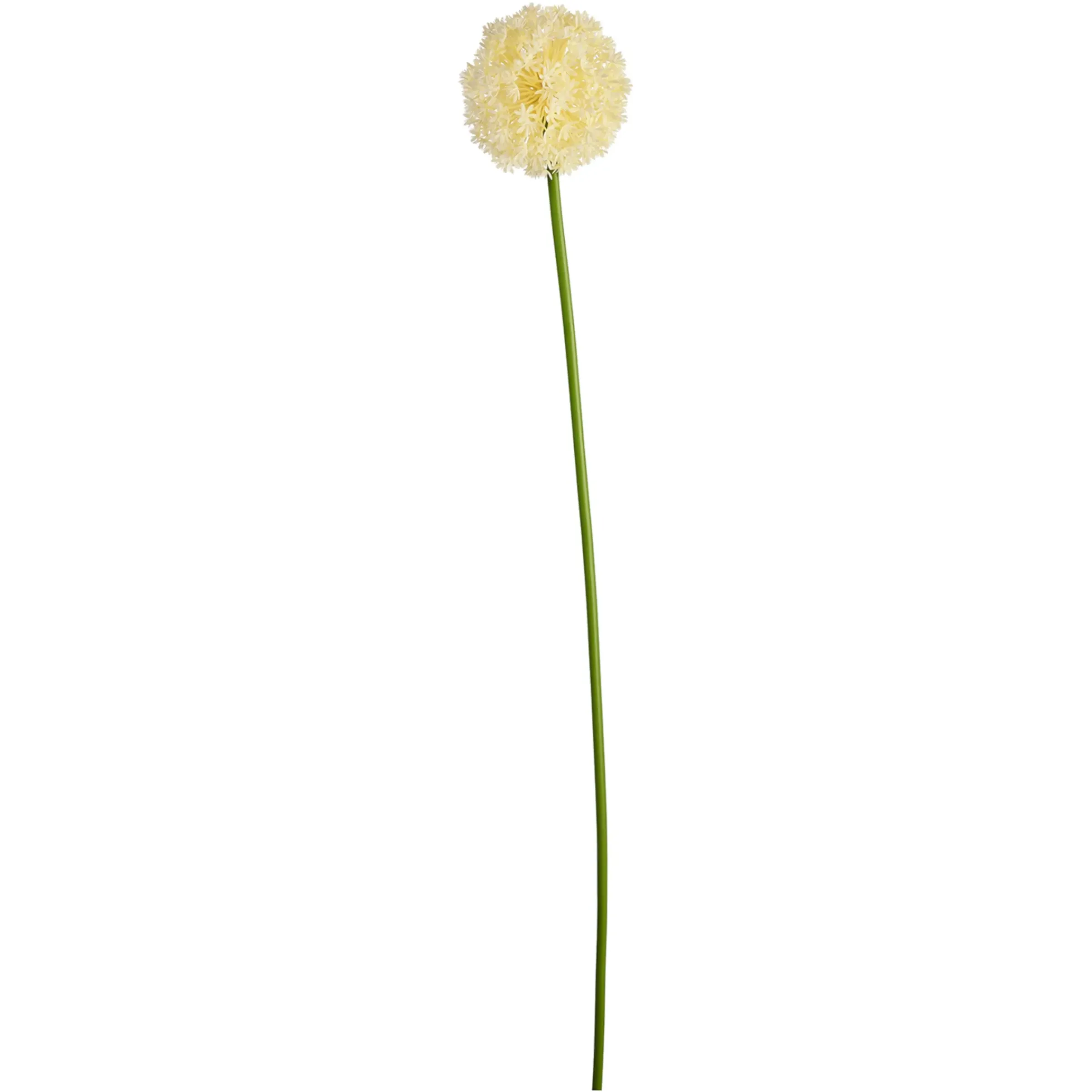 Depot Kunstblume Allium> Einzelblumen & Zweige