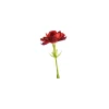 Depot Geschenkideen^Kunstblume Kaktusblute