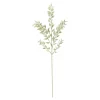 Depot Adventskranz-Deko^Kunstblume Mini Ruscus Ca. 50Cm