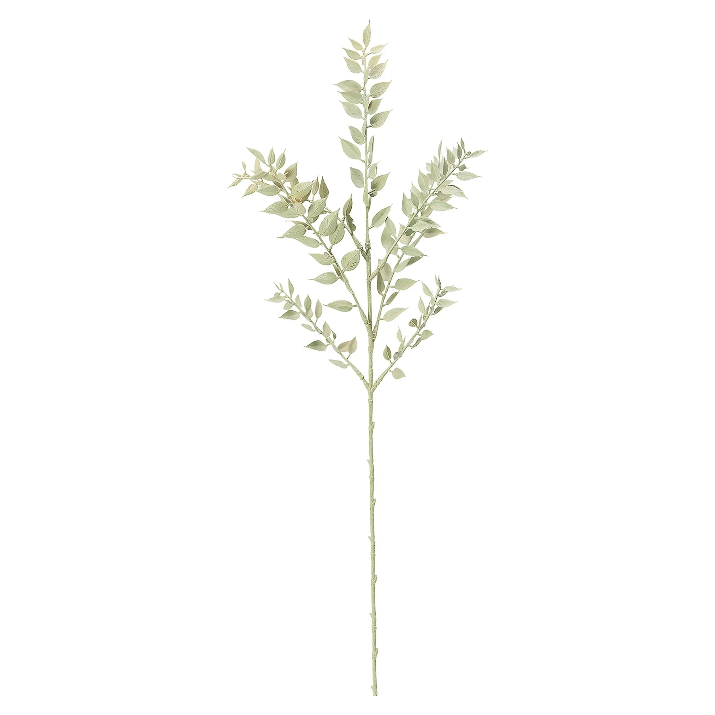 Depot Adventskranz-Deko^Kunstblume Mini Ruscus Ca. 50Cm