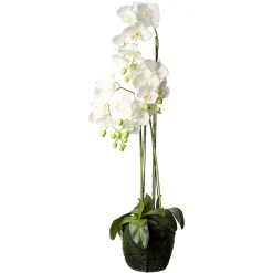 Depot Kunstblume Orchidee Phalaenopsis In Erde> Kunstpflanzen