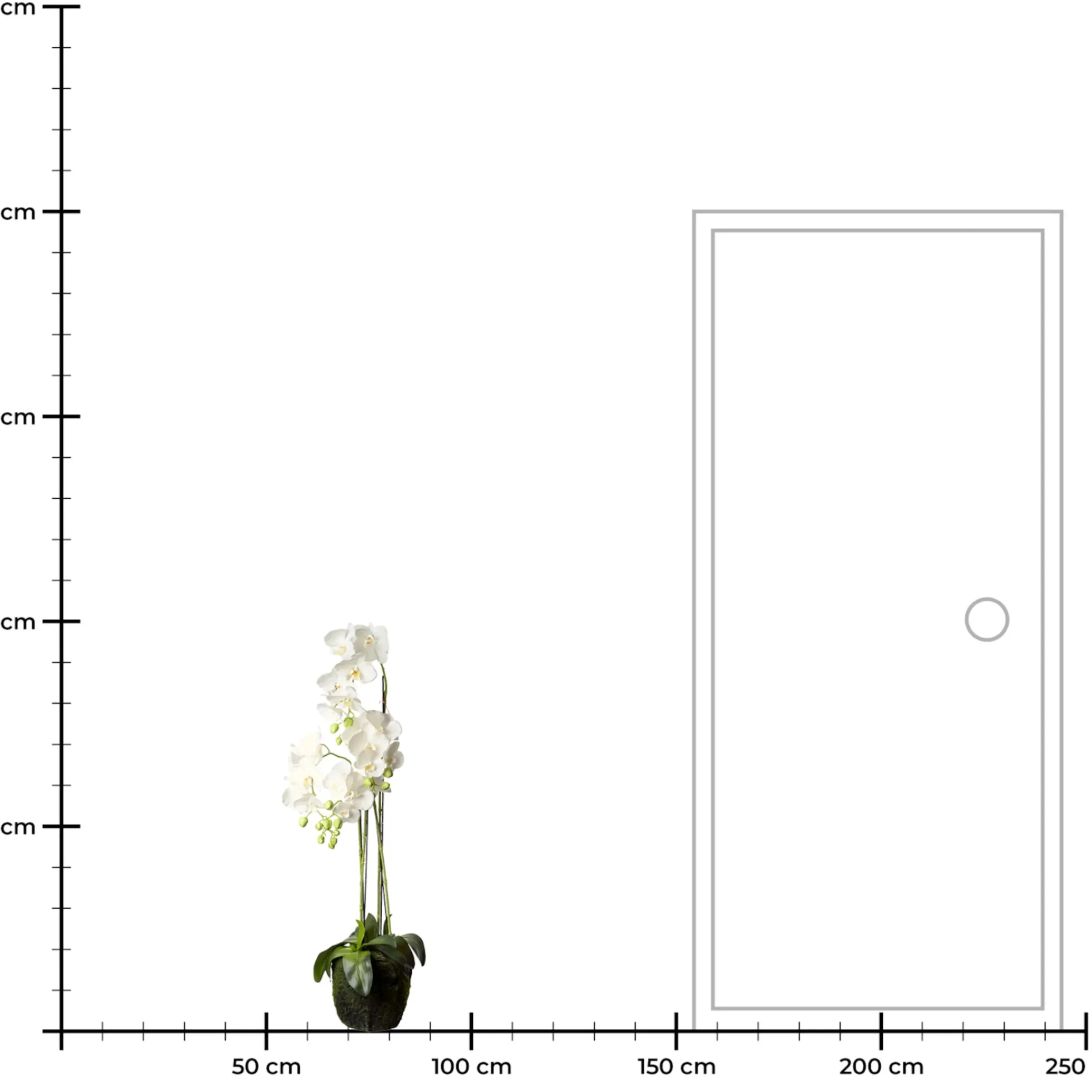 Depot Kunstblume Orchidee Phalaenopsis In Erde> Kunstpflanzen