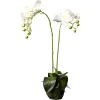 Depot Kunstblume Orchidee Phalaenopsis In Erde> Kunstpflanzen