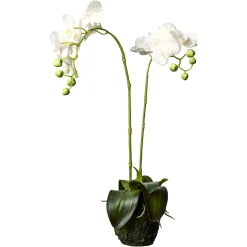 Depot Kunstblume Orchidee Phalaenopsis In Erde> Kunstpflanzen