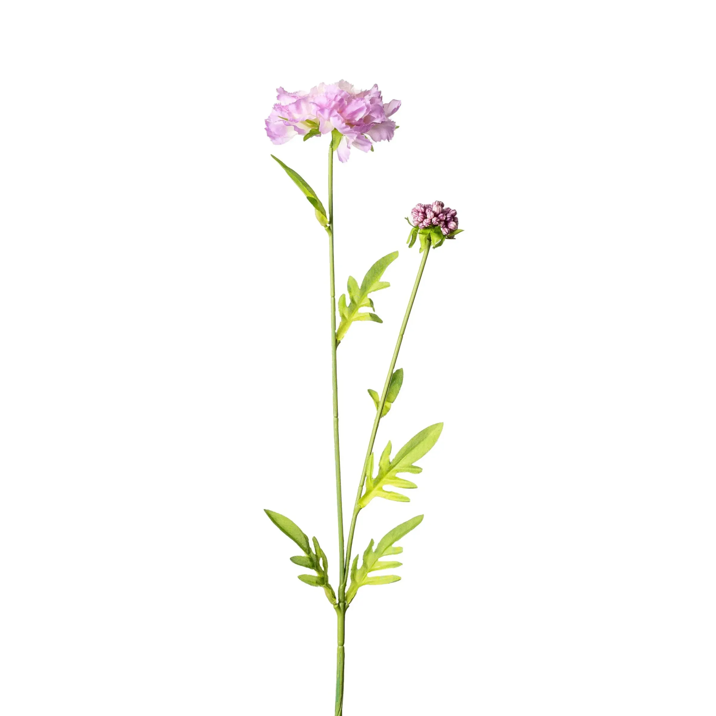 Depot Kunstblume Scabiosa> Einzelblumen & Zweige