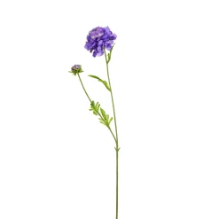 Depot Kunstblume Scabiosa> Einzelblumen & Zweige