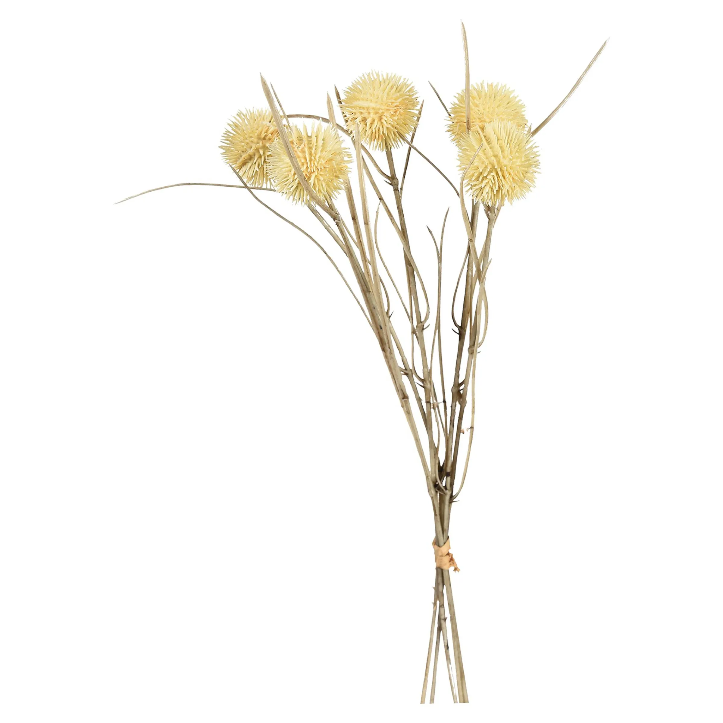 Depot Blumen^Kunstblumenbund Thorn