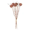 Depot Blumen^Kunstblumenbund Thorn