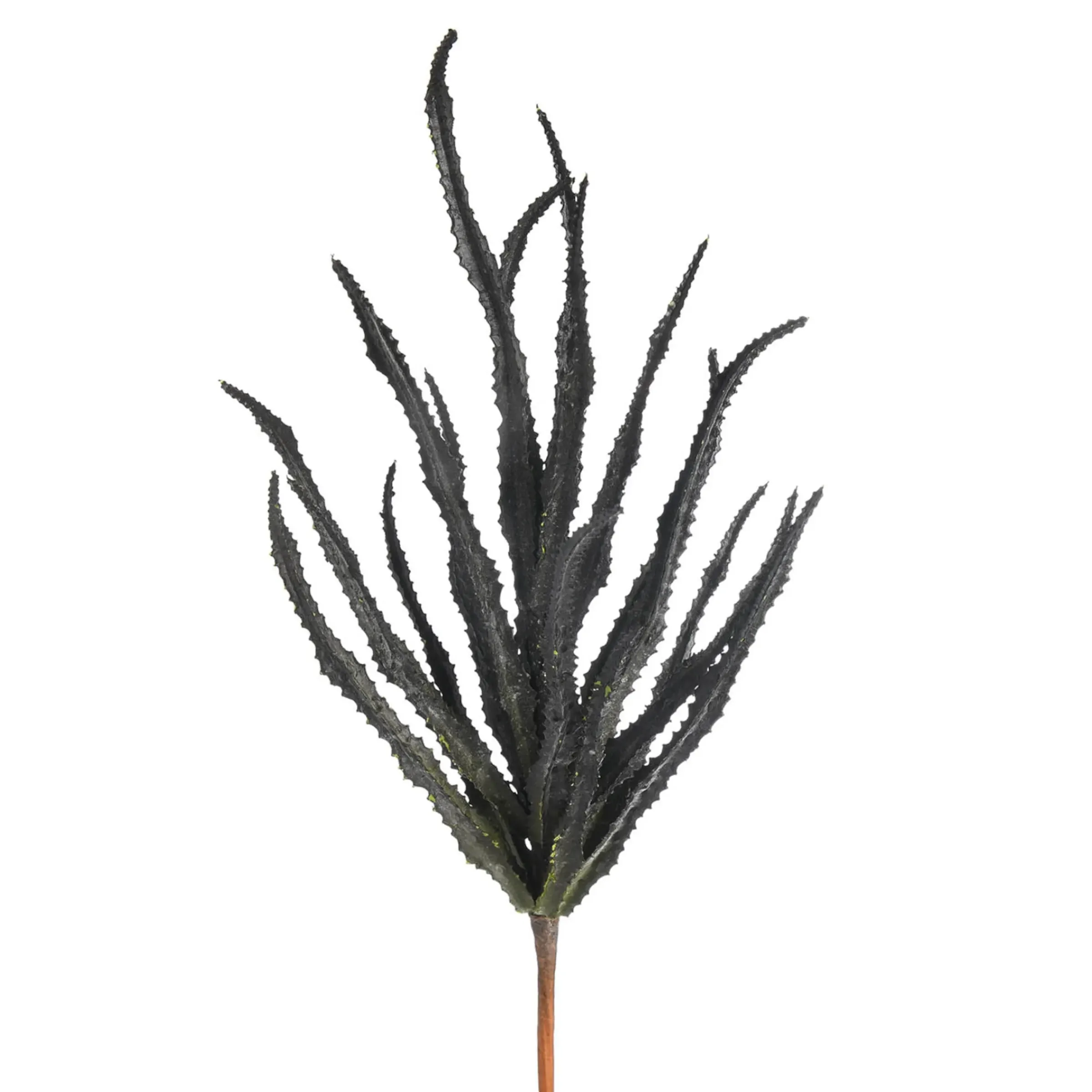 Depot Kunst-Blumenpick Sukkulente> Einzelblumen & Zweige