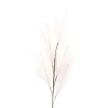 Depot Kunst-Pampasgras> Einzelblumen & Zweige