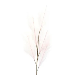 Depot Kunst-Pampasgras> Einzelblumen & Zweige