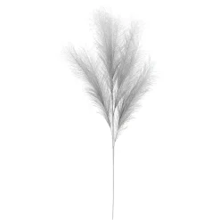 Depot Kunst-Pampasgras> Einzelblumen & Zweige