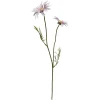 Depot Kunst-Stielblume Cosmea> Einzelblumen & Zweige