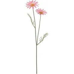 Depot Kunst-Stielblume Cosmea> Einzelblumen & Zweige