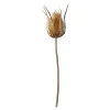 Depot Blumen^Kunst-Stielblume Distel
