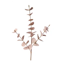 Depot Blumen^Kunstzweig Eukalyptus