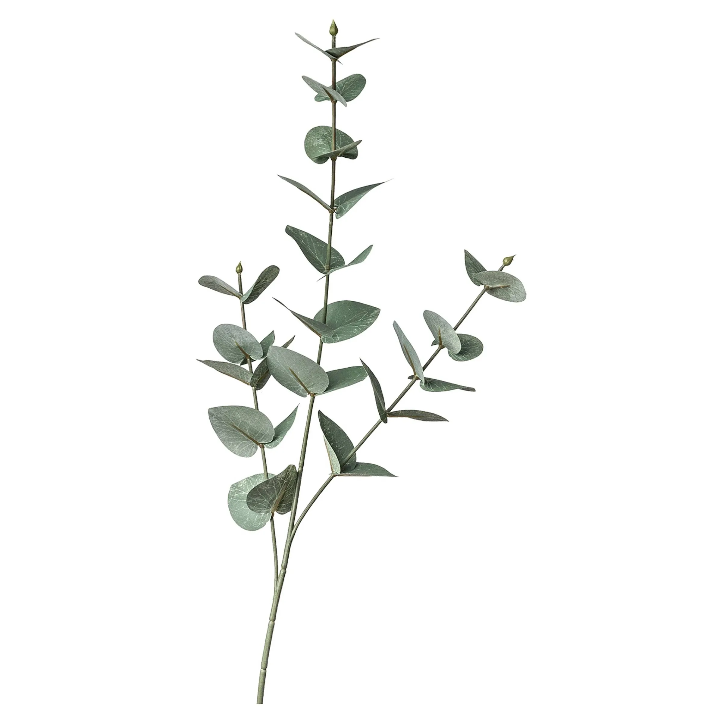 Depot Blumen^Kunstzweig Eukalyptus