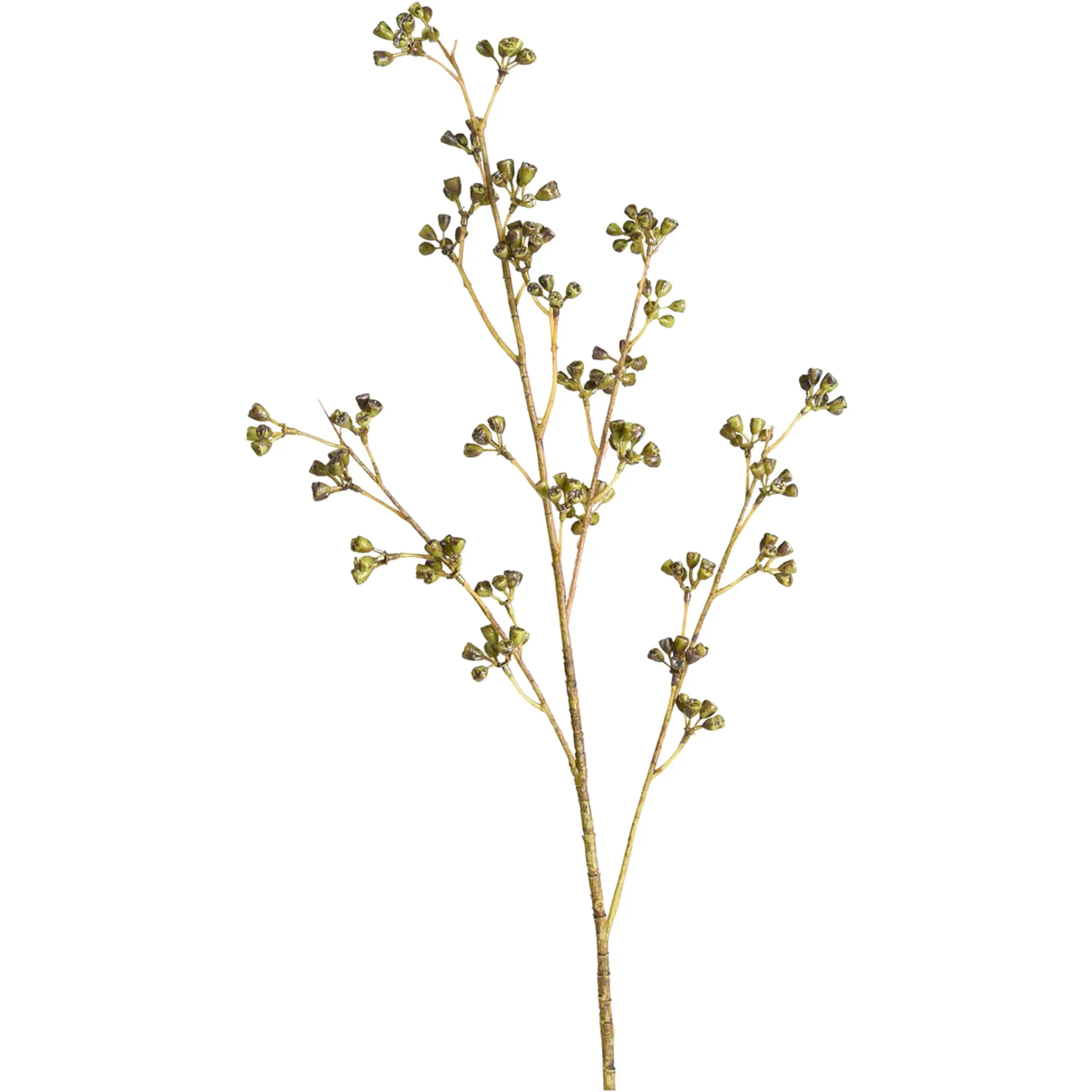 Depot Kunstzweig Eukalyptus-Knospe> Einzelblumen & Zweige