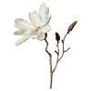 Depot Adventskranz-Deko^Kunst-Zweig Magnolie