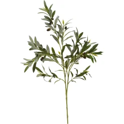 Depot Kunst-Zweig Oliven> Einzelblumen & Zweige