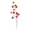 Depot Adventskranz-Deko^Kunstzweig Physalis