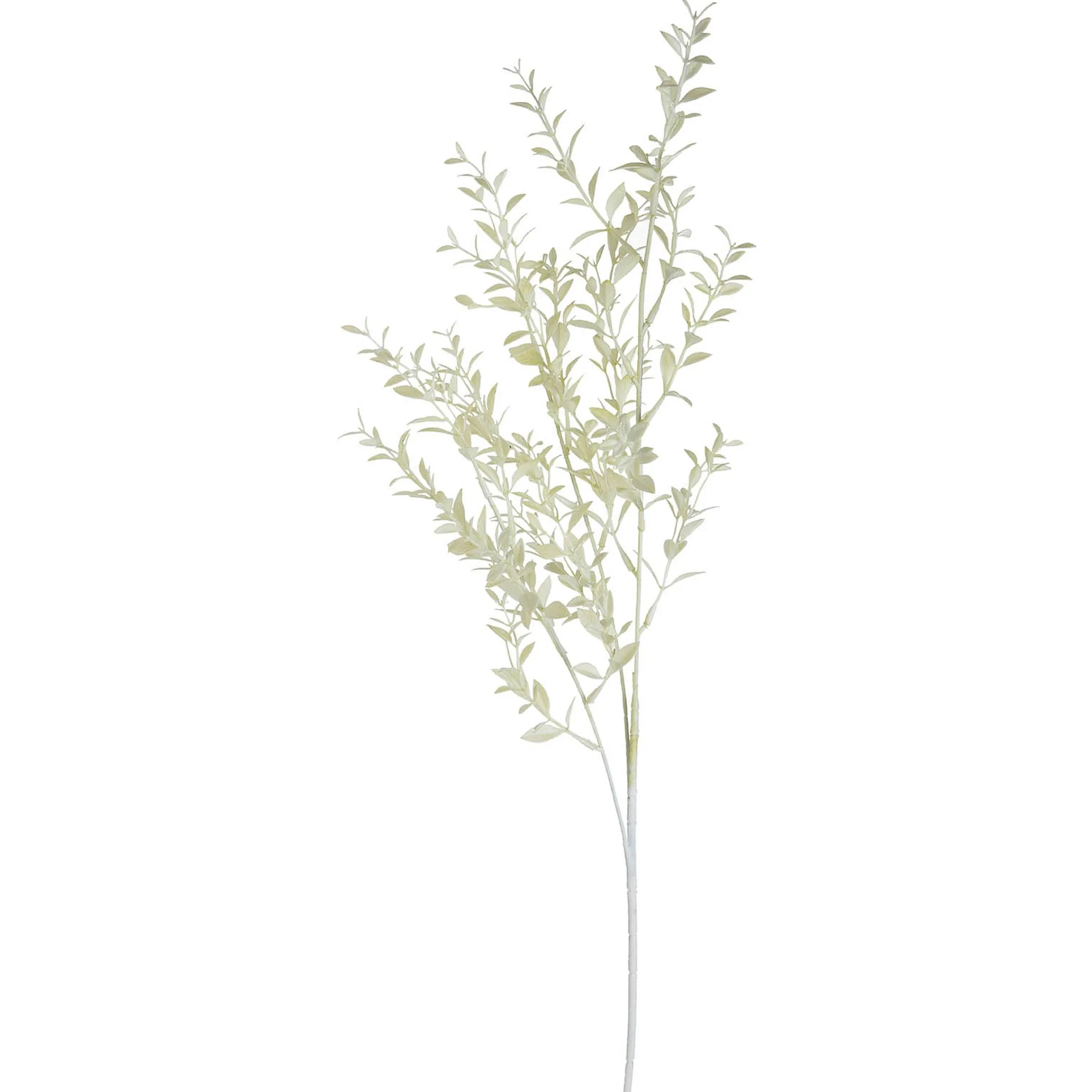 Depot Adventskranz-Deko^Kunstzweig Ruscus