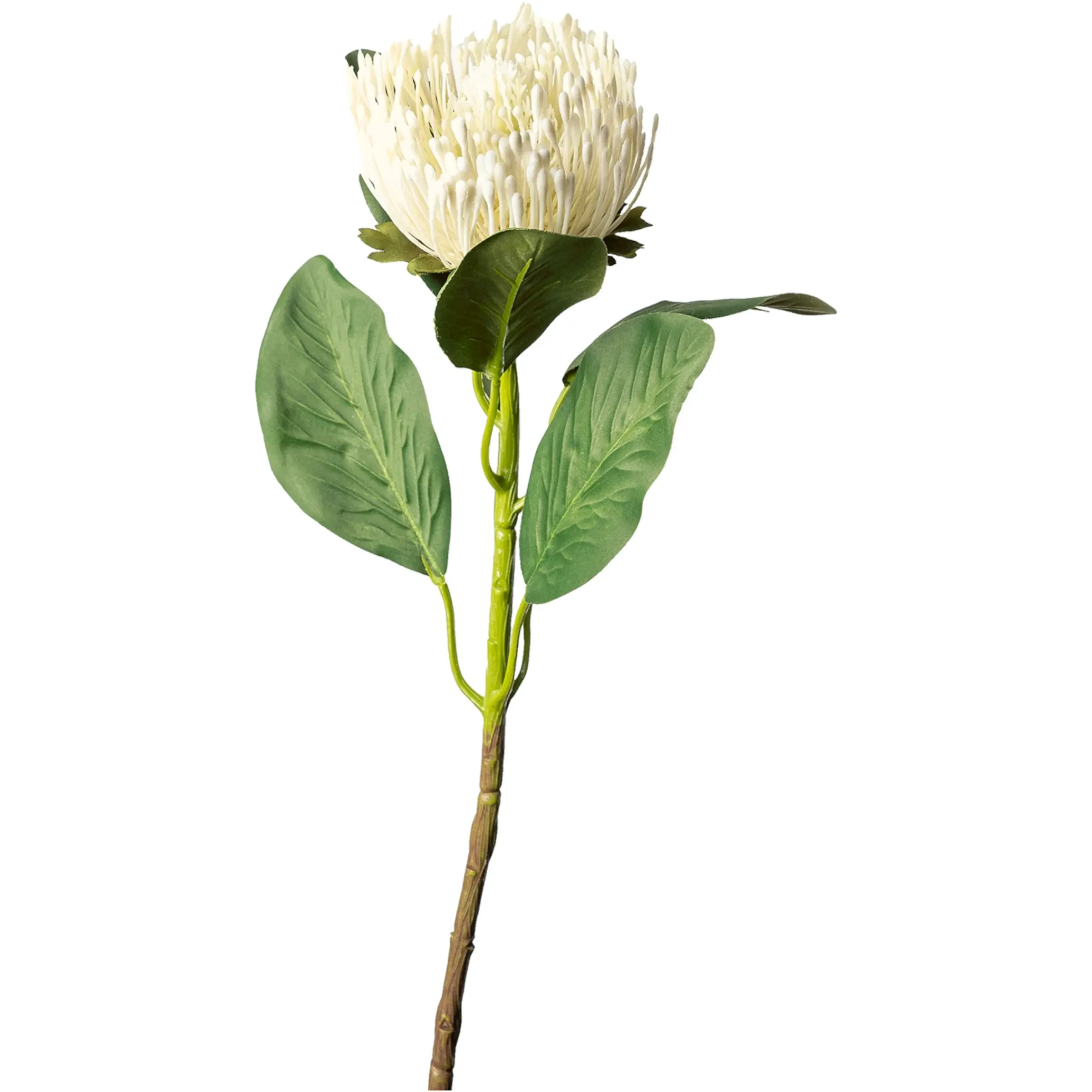 Depot Metallic-Kunstblume Protea> Einzelblumen & Zweige