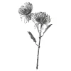 Depot Blumen^Metallic-Kunstblume Protea