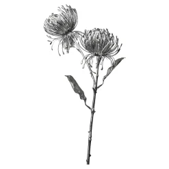 Depot Blumen^Metallic-Kunstblume Protea