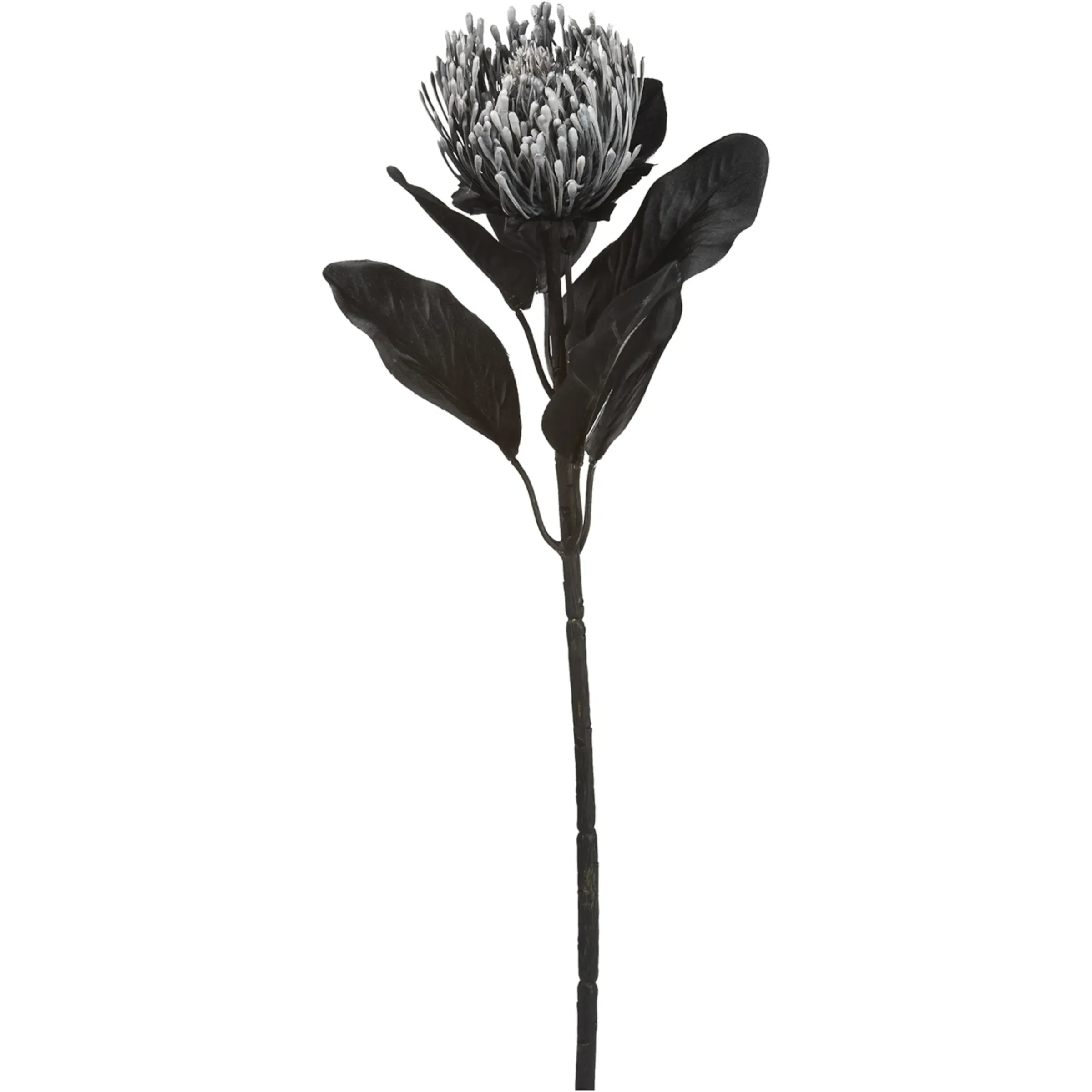Depot Metallic-Kunstblume Protea> Einzelblumen & Zweige