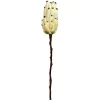 Depot Metallic-Kunstblume Protea> Einzelblumen & Zweige