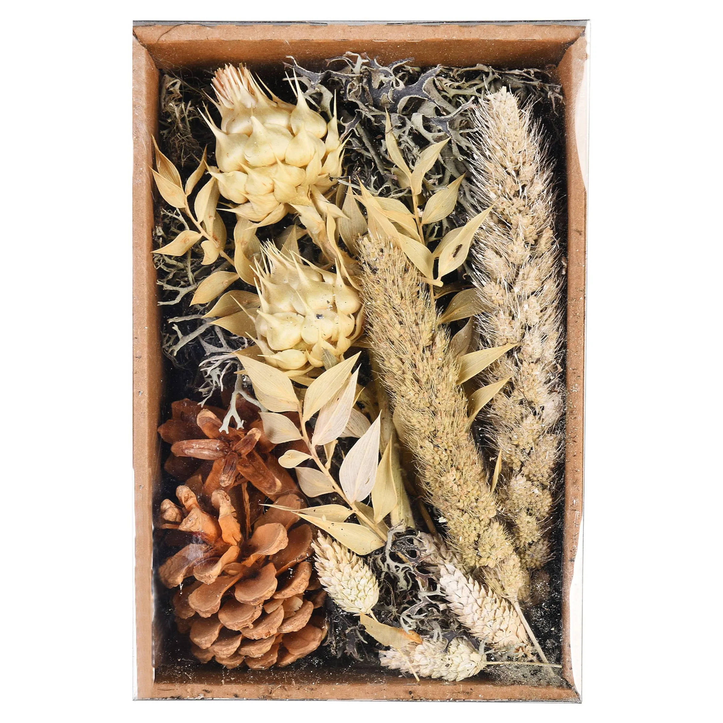 Depot Geschenkideen^Potpourri Natural