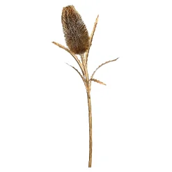 Depot Adventskranz-Deko^Protea Ca. 70Cm, Silber